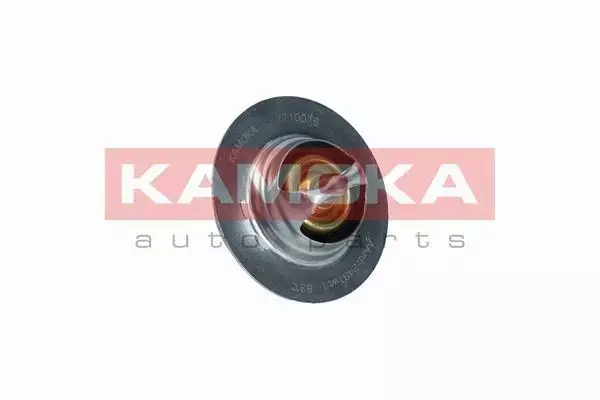 KAMOKA TERMOSTAT 7710076 