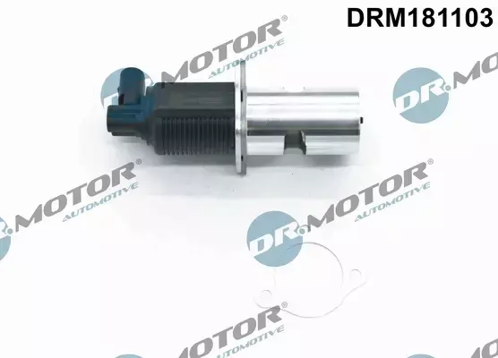 DR.MOTOR ZAWÓR EGR DRM181103 